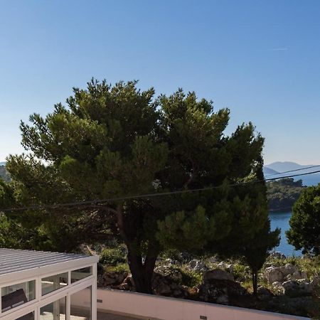 Apartment & Rooms Villa Katarina Slano Εξωτερικό φωτογραφία