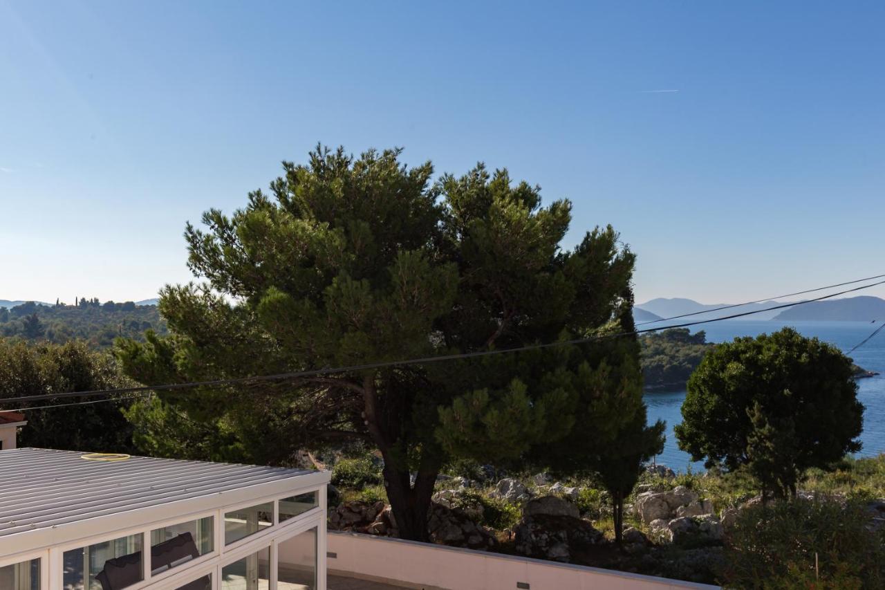 Apartment & Rooms Villa Katarina Slano Εξωτερικό φωτογραφία